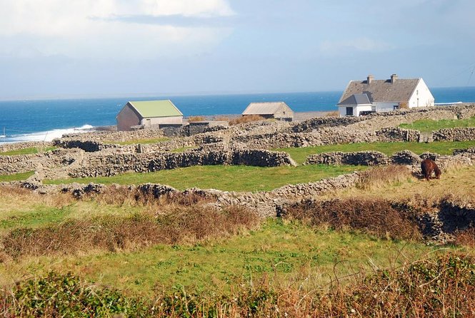 Inis Mór (Aran Islands) Day Trip: Return Ferry from Rossaveel, Galway - Key points to know before you go