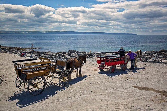 Inis Mór (Aran Islands) Day Trip: Return Ferry from Rossaveel, Galway - Beaches, food, shops, and a pint in Kilronan