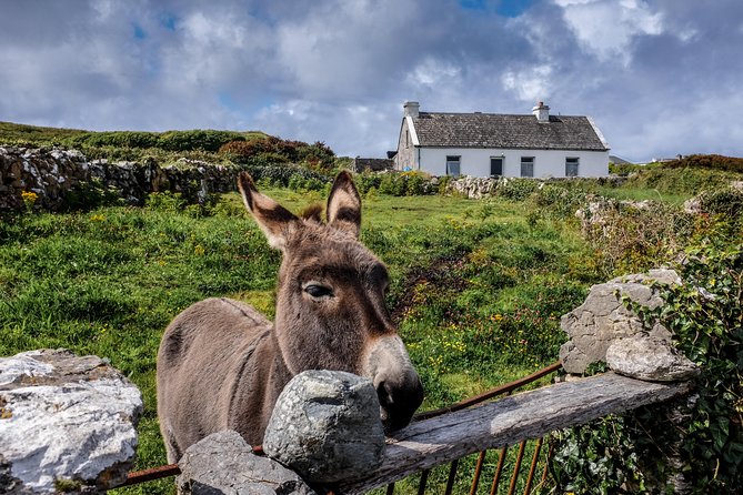 Inis Mór (Aran Islands) Day Trip: Return Ferry from Rossaveel, Galway - Kilronan gives you a useful starting point