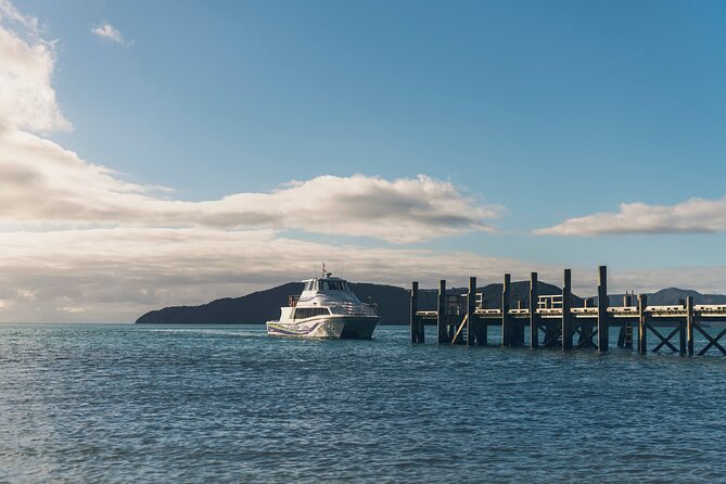 InterIslander Ferry - Picton to Wellington - Who will enjoy this ferry most?