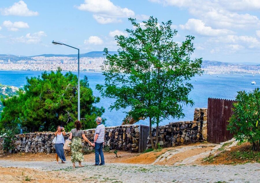 Istanbul: Round-Trip Ferry Tickets to the Princes' Islands - Walking, cycling, and choosing your route