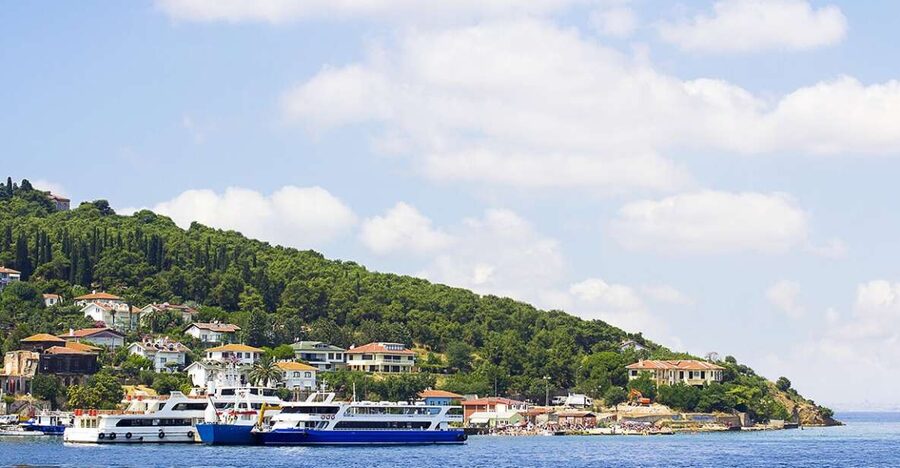 Istanbul: Round-Trip Ferry Tickets to the Princes' Islands - Who will enjoy this day trip most