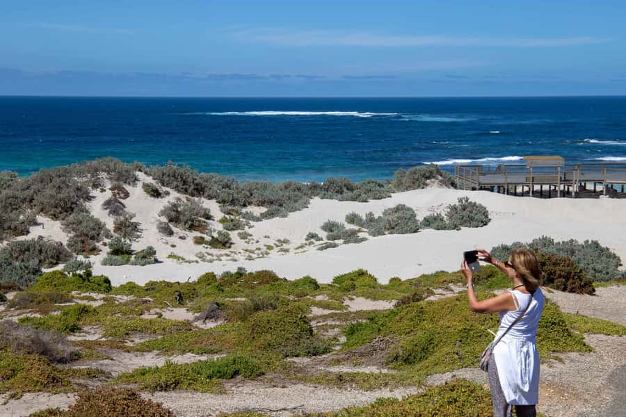 Kangaroo Island Full Day Experience by Ferry Including Lunch - Seal Bay and the Australian sea lions