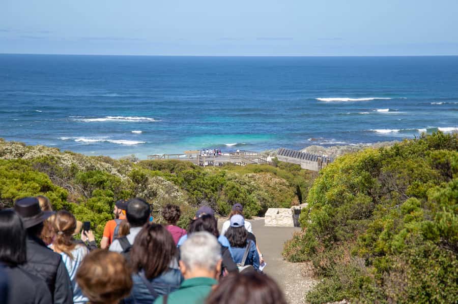 Kangaroo Island Full Day Experience by Ferry Including Lunch - The wildlife park and close animal encounters