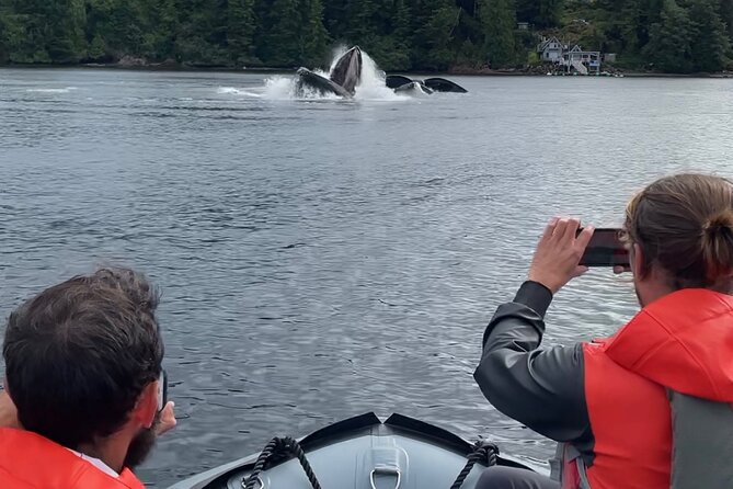 Ketchikan Zodiac Boat Adventure - The Inside Passage is where the tour earns its price