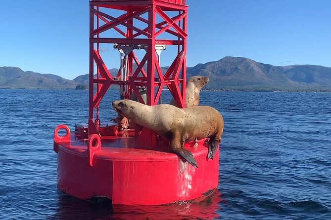 Ketchikan Zodiac Boat Adventure - What the boat ride feels like