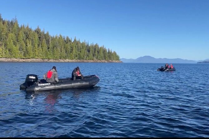 Ketchikan Zodiac Boat Adventure - Four people per boat, with some flexibility
