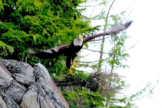 Ketchikan Zodiac Boat Adventure - Gear, food, and the useful finishing touches