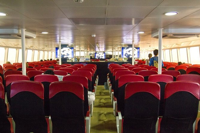 Krabi To Koh Tao(Tao Island) by Bus and Ferry - Environmental notes for Koh Tao