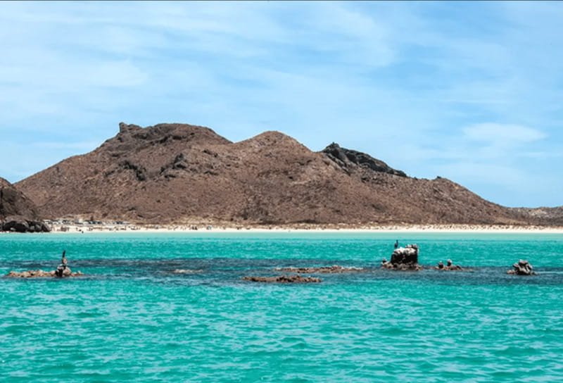 La Paz: Boat ride to Espiritu Santo island and sloop - Snorkeling in a marine life zone