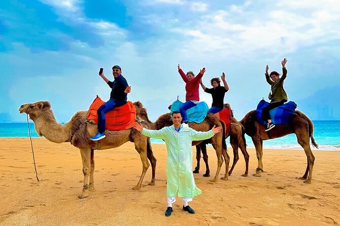 Luxury day in Tangier from Tarifa including ferry & camel ride …. - Key points to know before booking