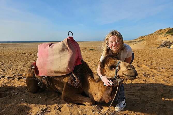 Luxury Malaga to Tangier Day Trip: Transfer, ferry, camel & Souks - The Medina and souks: your longest stop