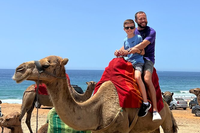 Luxury Malaga to Tangier Day Trip: Transfer, ferry, camel & Souks - Lunch, snacks, tea, and water