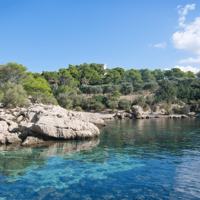 Mallorca: Boat Transfer between Port Andratx and Sant Elm - Key points to know