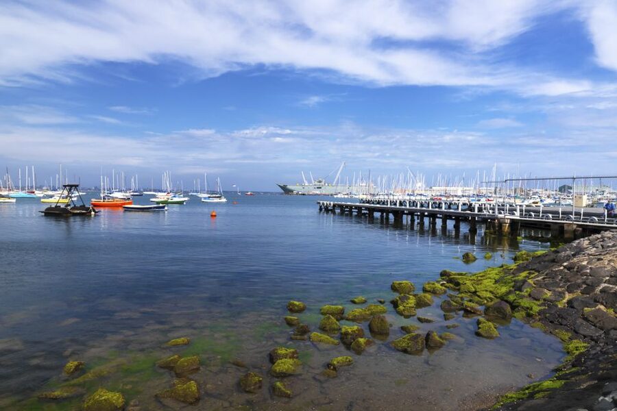 Melbourne: City and Williamstown Ferry Cruise - FAQ