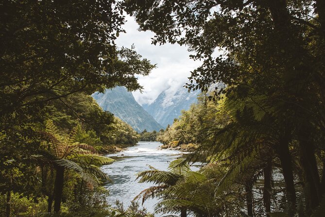 Milford Track Multi-Night Hike - Water Taxi Transport - Booking, timing, and cancellation