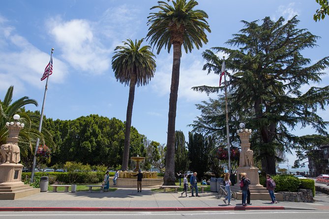 Muir Woods and Sausalito (Return by Bus or Ferry) - Why this Muir Woods and Sausalito combination works