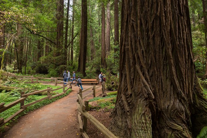 Muir Woods and Sausalito (Return by Bus or Ferry) - Crossing the Golden Gate Bridge from Union Square