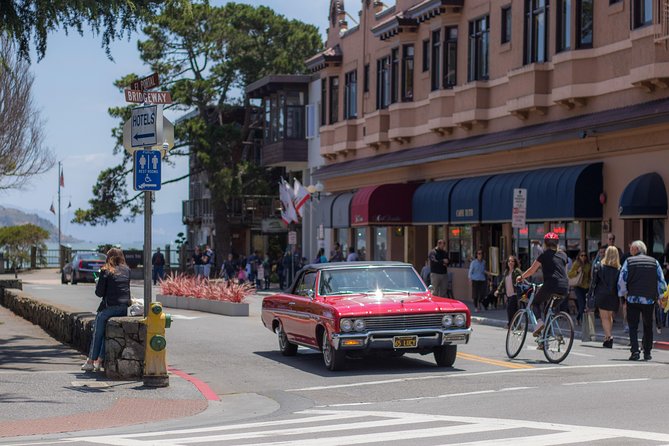 Muir Woods and Sausalito (Return by Bus or Ferry) - Important changes and possible substitutions