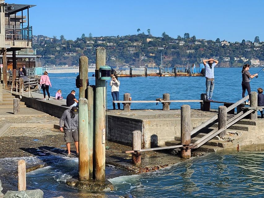 Muir Woods, Sausalito and Ferry back to Fisherman's Wharf - Key points to know before booking