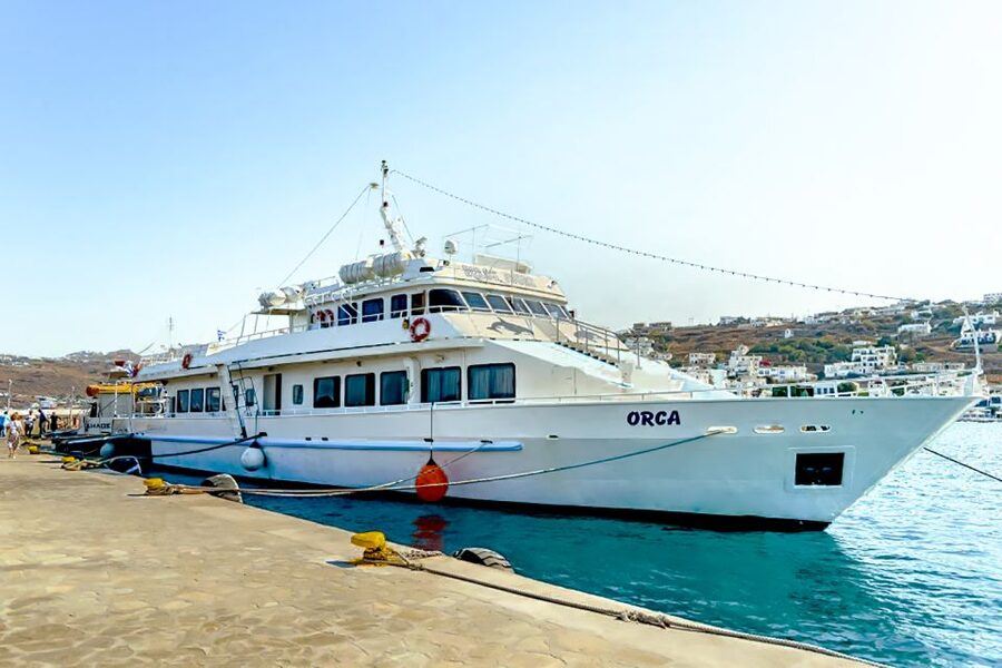 Mykonos: Delos Boat Transfer with Cell Phone Audioguide - Boat-only or transfer included?