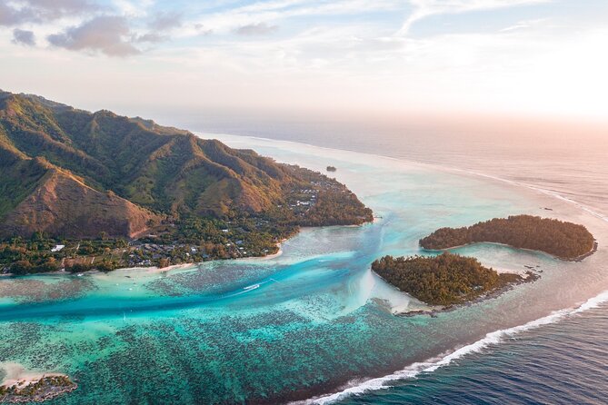N°1 Moorea Transfers Shuttle Airport Ferry terminal - Key points at a glance