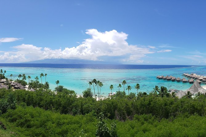 N°1 Moorea Transfers Shuttle Airport Ferry terminal - William’s extra help along the road
