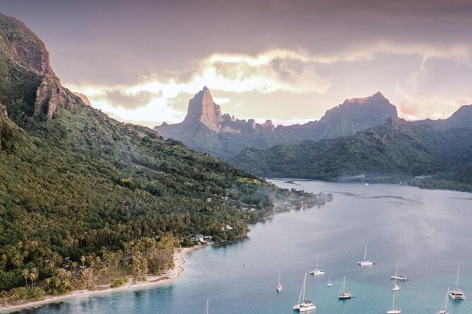 N°1 Moorea Transfers Shuttle Airport Ferry terminal - What you should not expect
