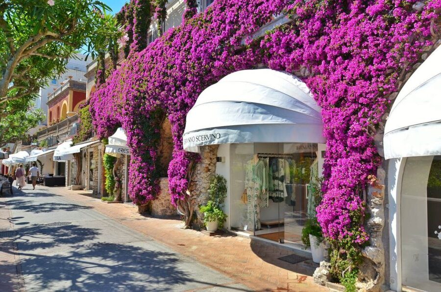 Naples: Capri Island by Hydrofoil - Capri’s Piazzetta and narrow shopping streets