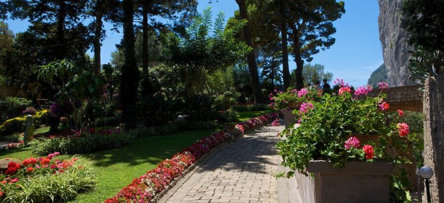 Naples: Capri Island by Hydrofoil - Walking, weather, and the day’s practical demands