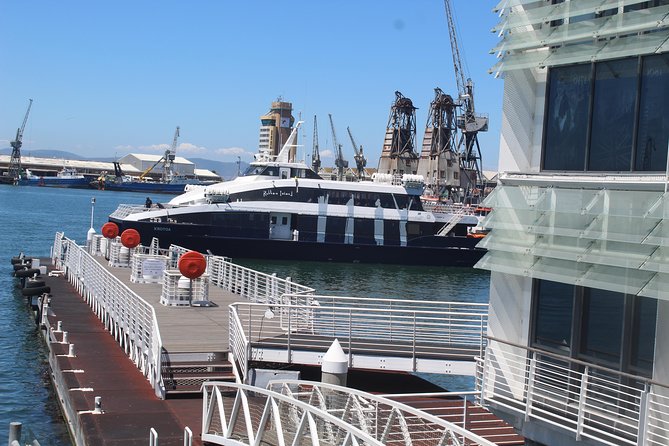 Nelson Mandela's Robben Island Prison Museum Cape Town City Tour + Ferry Tickets - What the small group and transport add