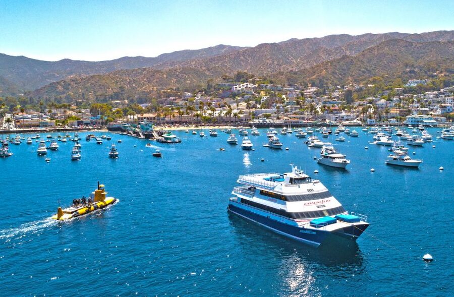 Newport Beach: Ferry Ticket to/from Catalina Island - Key points to know before booking