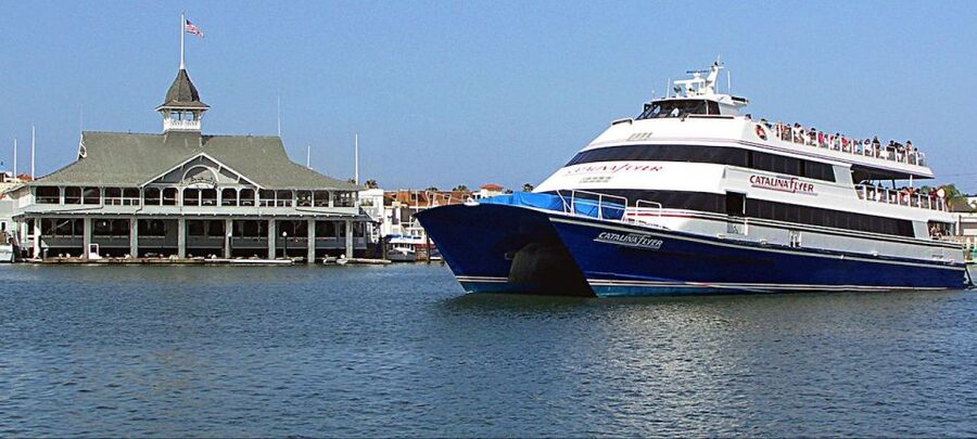 Newport Beach: Ferry Ticket to/from Catalina Island - Choosing between a one-way and roundtrip ticket