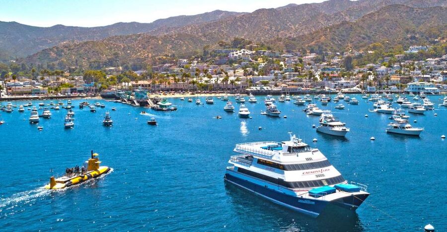 Newport Beach: Ferry Ticket to/from Catalina Island - Why the $47 fare can be good value
