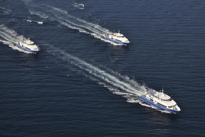 Nice to St Tropez Ferry Ticket and Cruise - Beaches, boutiques, and the limits of a day trip