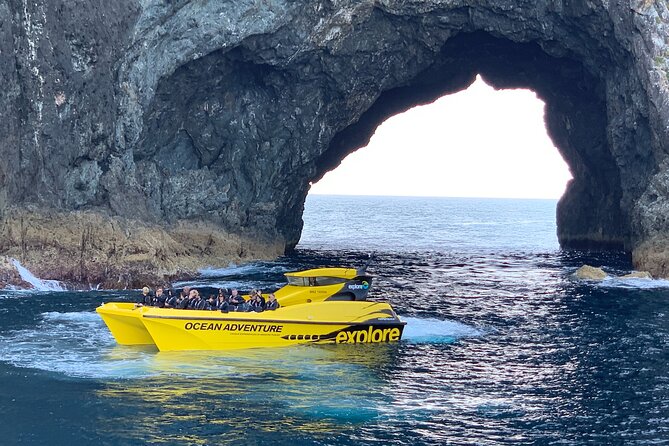 Ocean Adventure: Fast Boat to the Hole in the Rock - Cape Brett and the Hole in the Rock