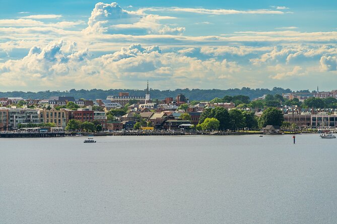 Old Town Alexandria in a Day with Round Trip Ferry Cruise - The Spite House, Washington’s home, and street-level history