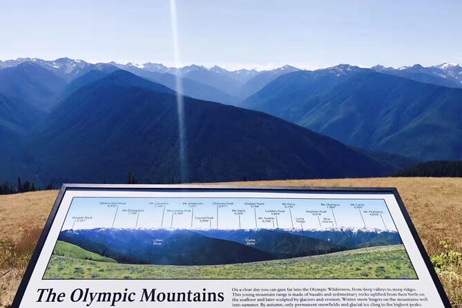 Olympic National Park Small Group Day Tour w/Scenic Ferry 2CanGo - Hurricane Ridge for mountain views