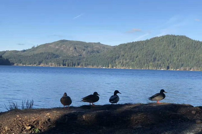 Olympic National Park Small Group Day Tour w/Scenic Ferry 2CanGo - Lake Crescent and the forest near Marymere Falls