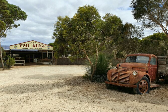 One Day Kangaroo Island Sip & See tour with return ferry transfers from Adelaide - Clifford’s Honey Farm shows the working side of Kangaroo Island