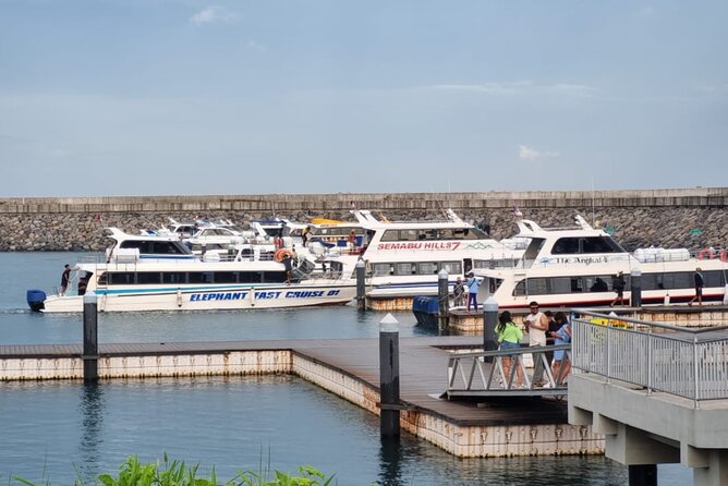 One-way Ticket Fast Boat from Sanur Bali or Nusa Penida - What the 45-minute duration means for your plans