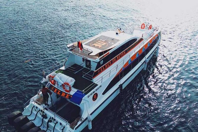 One-way Ticket Fast Boat from Sanur Bali or Nusa Penida - Sanur to Nusa Penida: choosing the right departure