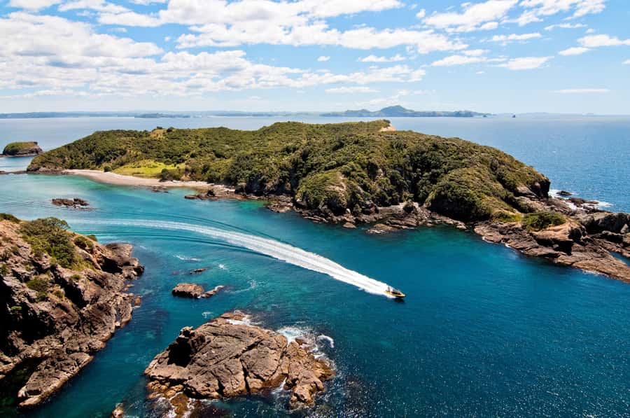 Paihia: Hole in the Rock Fast Boat Ocean Adventure - Key points at a glance