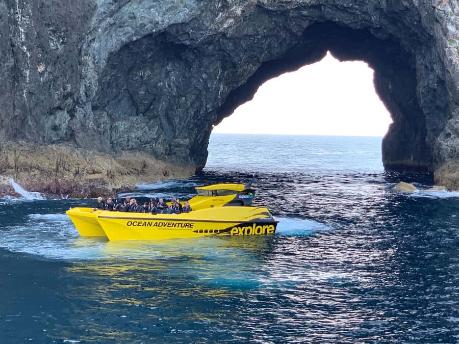 Paihia: Hole in the Rock Fast Boat Ocean Adventure - Cape Brett and the lighthouse