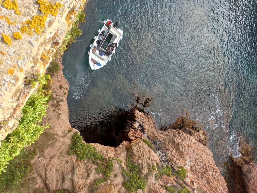 Peniche: Berlengas Island Round-Trip Ferry with Island Stop - A granite island 16 kilometers from Peniche