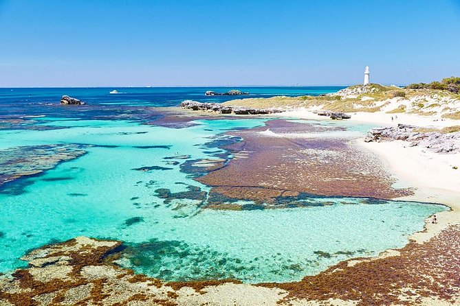 Perth to Rottnest Island Roundtrip Ferry Ticket - Key points to know before you book