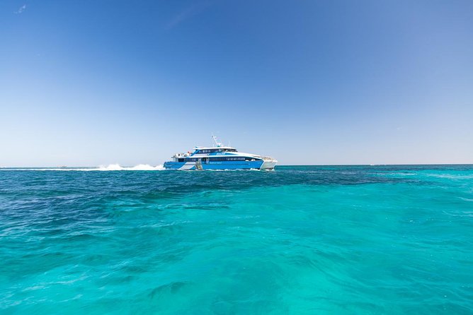 Perth to Rottnest Island Roundtrip Ferry Ticket - Six hours to meet Rottnest Island