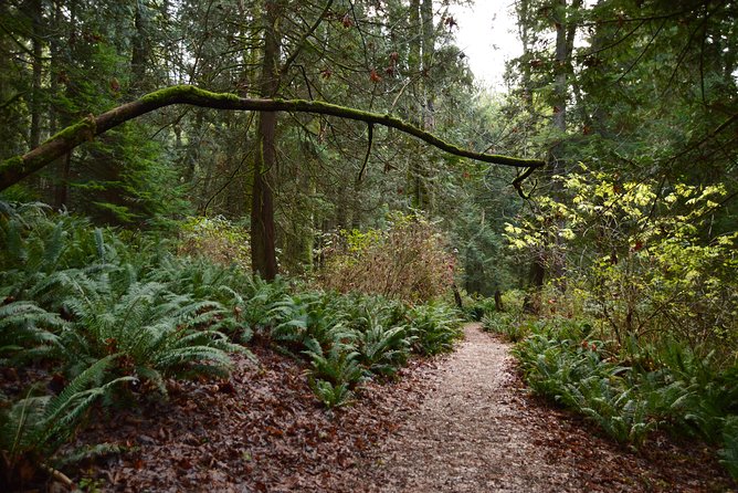 Photography, Hiking & Ferry to Bowen Island - Arriving at Snug Cove and finding the island’s slower pace