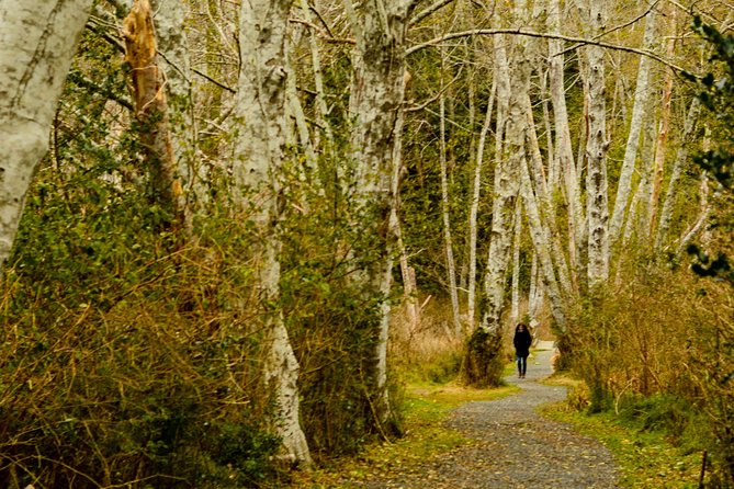 Photography, Hiking & Ferry to Bowen Island - Hiking near Killarney Lake