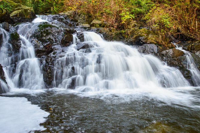 Photography, Hiking & Ferry to Bowen Island - Starting in downtown Vancouver and reaching Horseshoe Bay